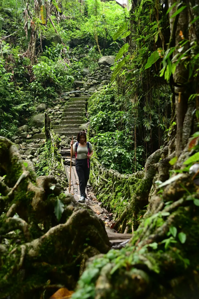 A girl walking on the Nongriat Living Root Bridge in Meghalaya