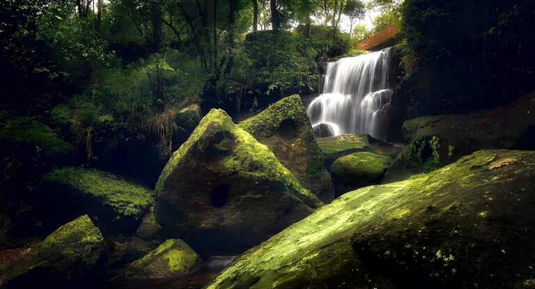 A small waterfall in the garden of caves in Meghalaya,India
