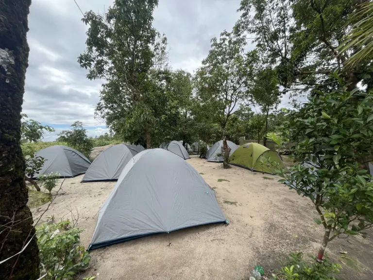 Camping tents set up under trees at Mawlyngbna Meghalaya