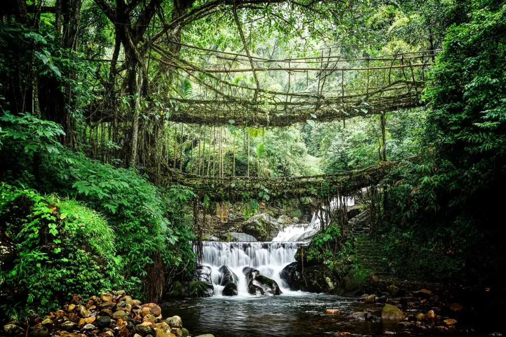 Double Decker Living Root Bridge over a waterfall at Nongriat Meghalaya