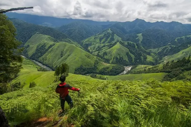 Emuli Grass Land