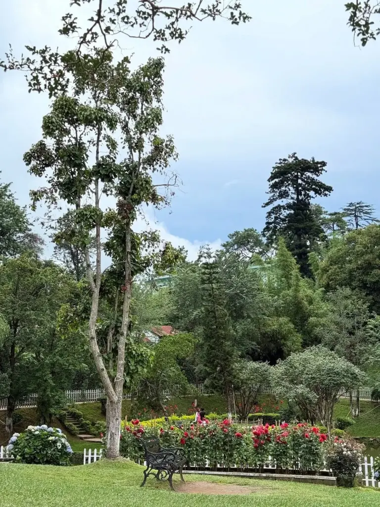 Flower garden and bench at Wah Rilang View Point, Meghalaya
