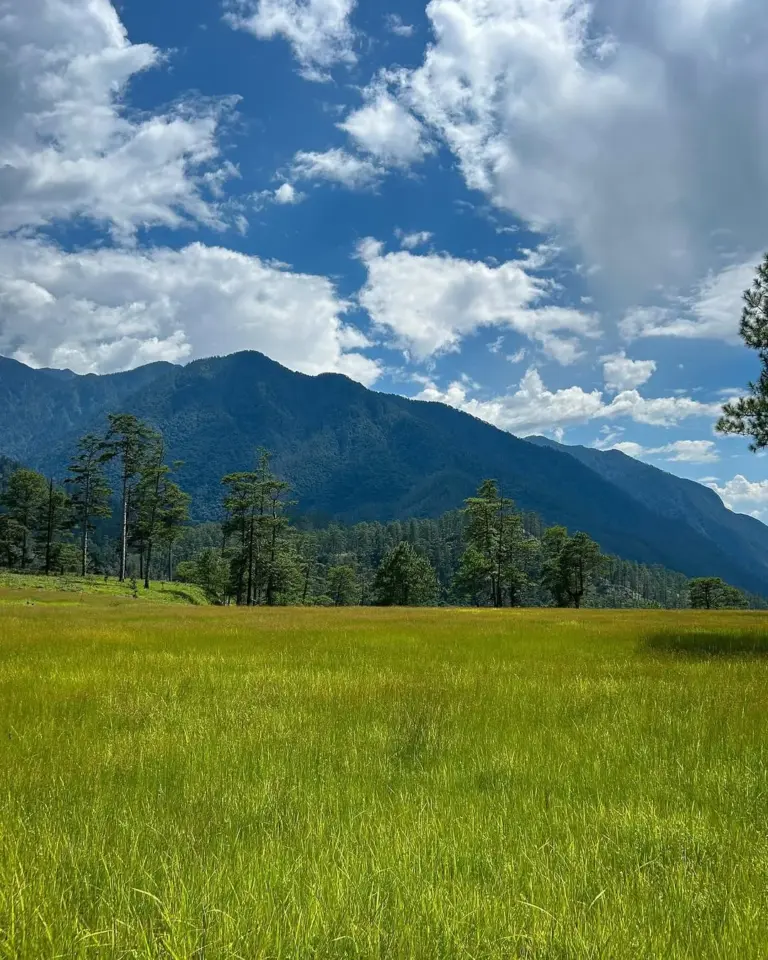 Green meadow and mountains under blue sky in Dong Valley, Arunachal Pradesh