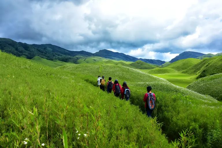 Group of trekkers walking through lush green hills in Dzukou Valley Nagaland