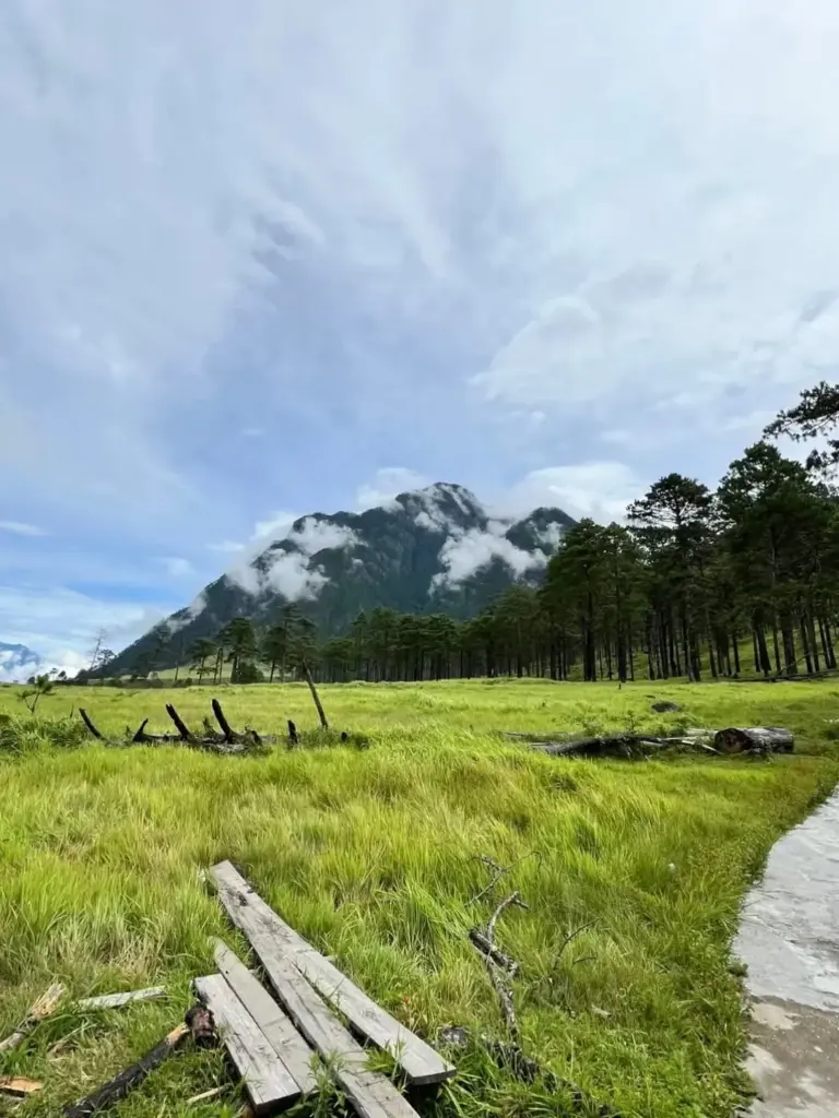 Lush green meadow with a mountain backdrop at Dong Valley