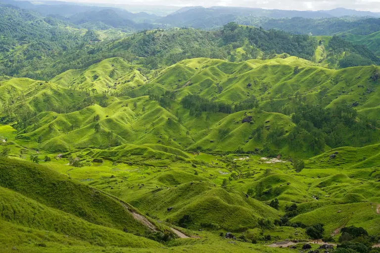 Lush green rolling hills and scattered trees under a cloudy sky at Markham Valley, Meghalaya