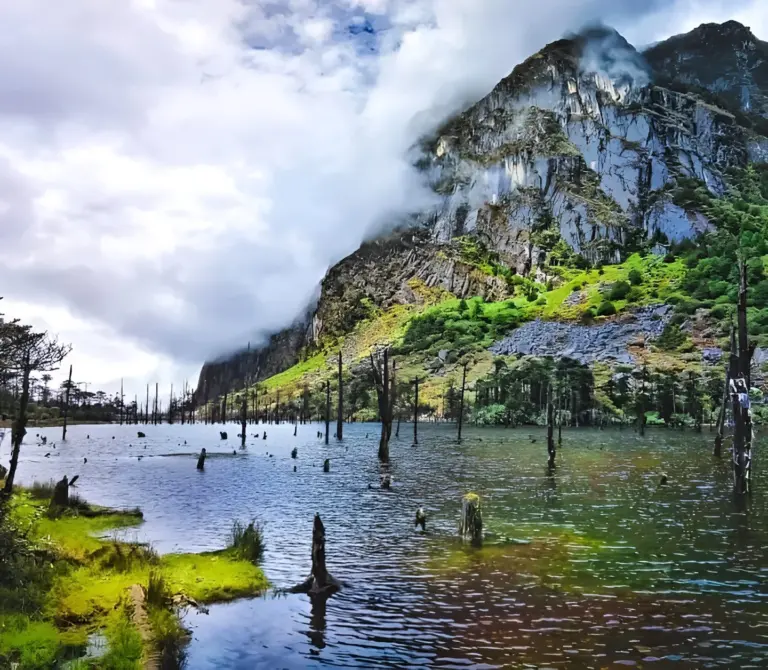 Madhuri Lake with tree stumps, misty mountains, and lush greenery