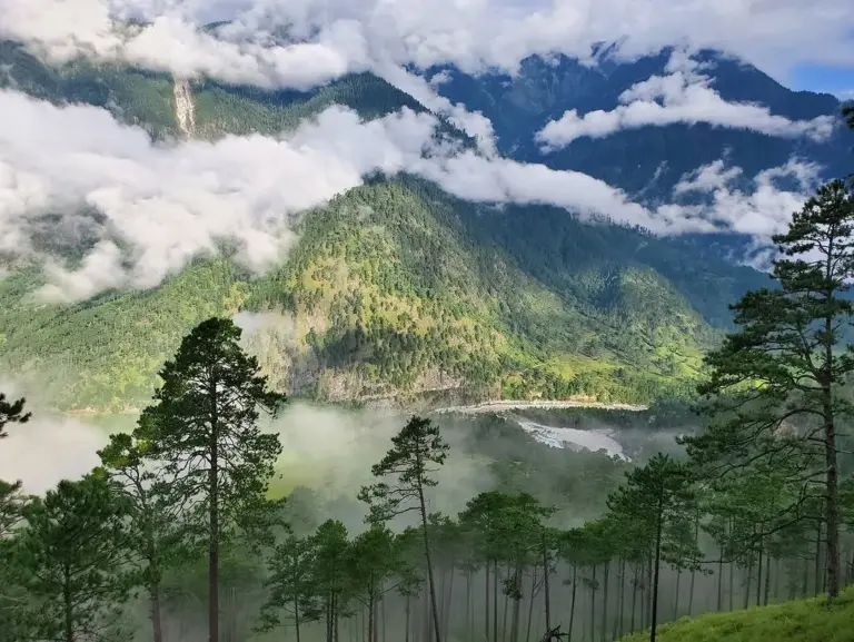 Misty mountains and river view through pine trees at Dong Valley