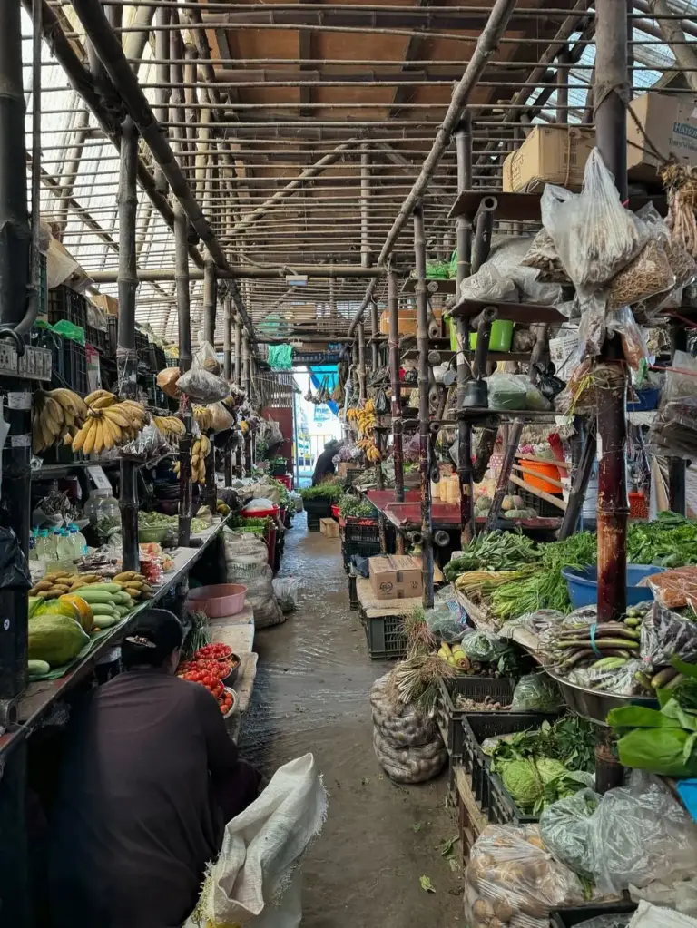 Narrow aisle of Kohima Women Market lined with fresh vegetables, fruits, and local produce