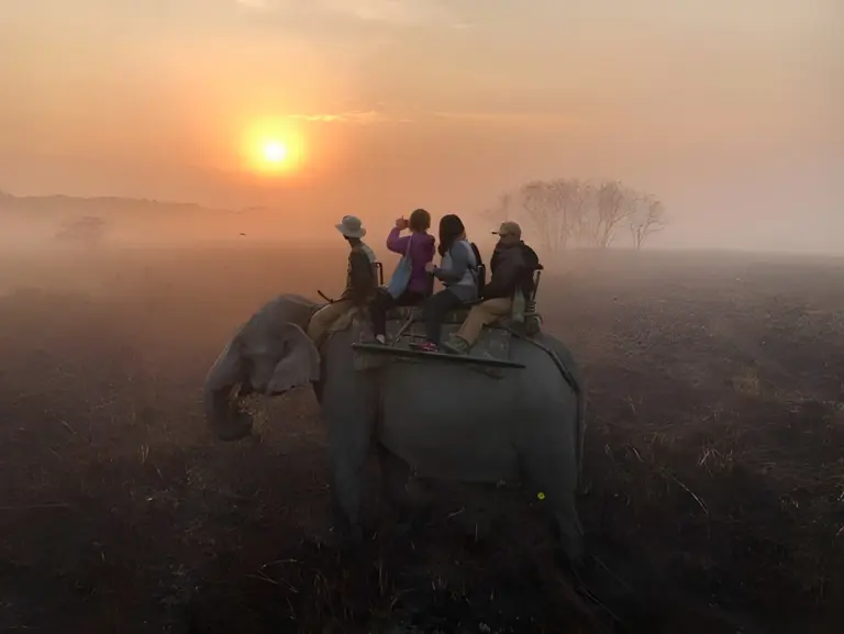 People enjoy an early morning elephant safari during sunrise in Kaziranga National Park, Assam