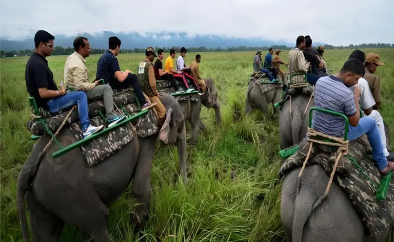 People enjoying an elephant safari through the grasslands of Kaziranga National Park, Assam