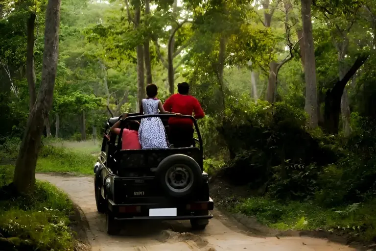 People on a jeep safari in the forest of Kaziranga, Assam
