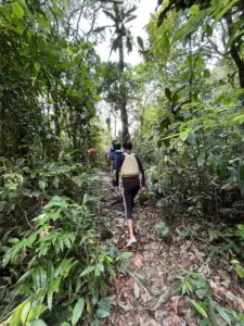 People walking through a lush forest trail during the Split Rock trek at Mawlyngbna, Meghalaya