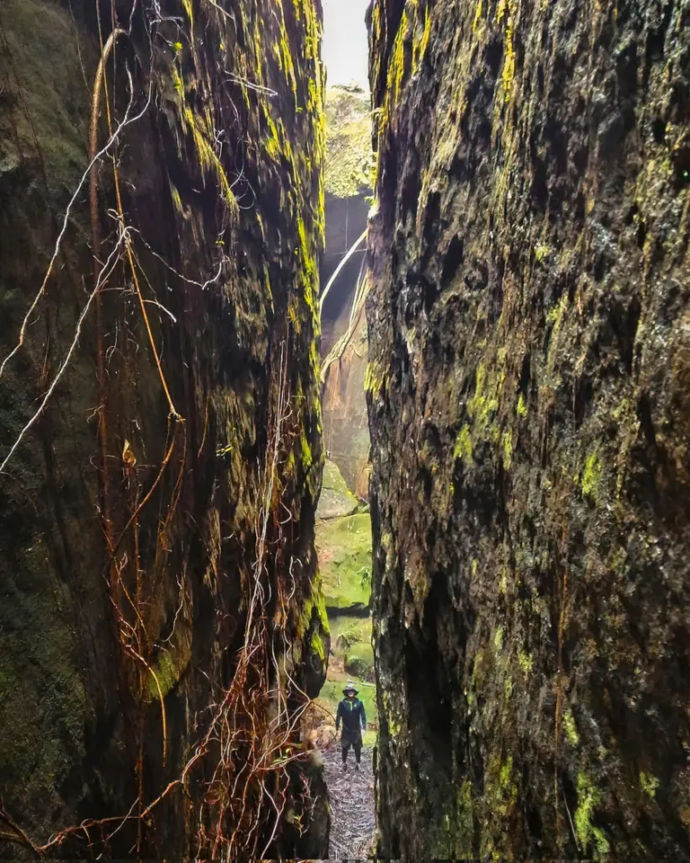 Person standing between towering moss-covered rock walls during the Split Rock trek at Mawlyngbna, Meghalaya