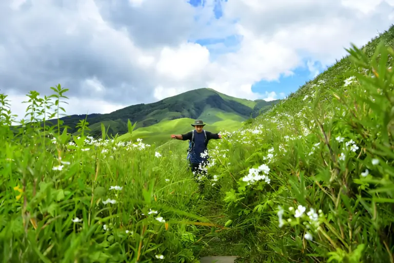Person walking through a lush green meadow with wildflowers in Dzukou Valley Nagaland