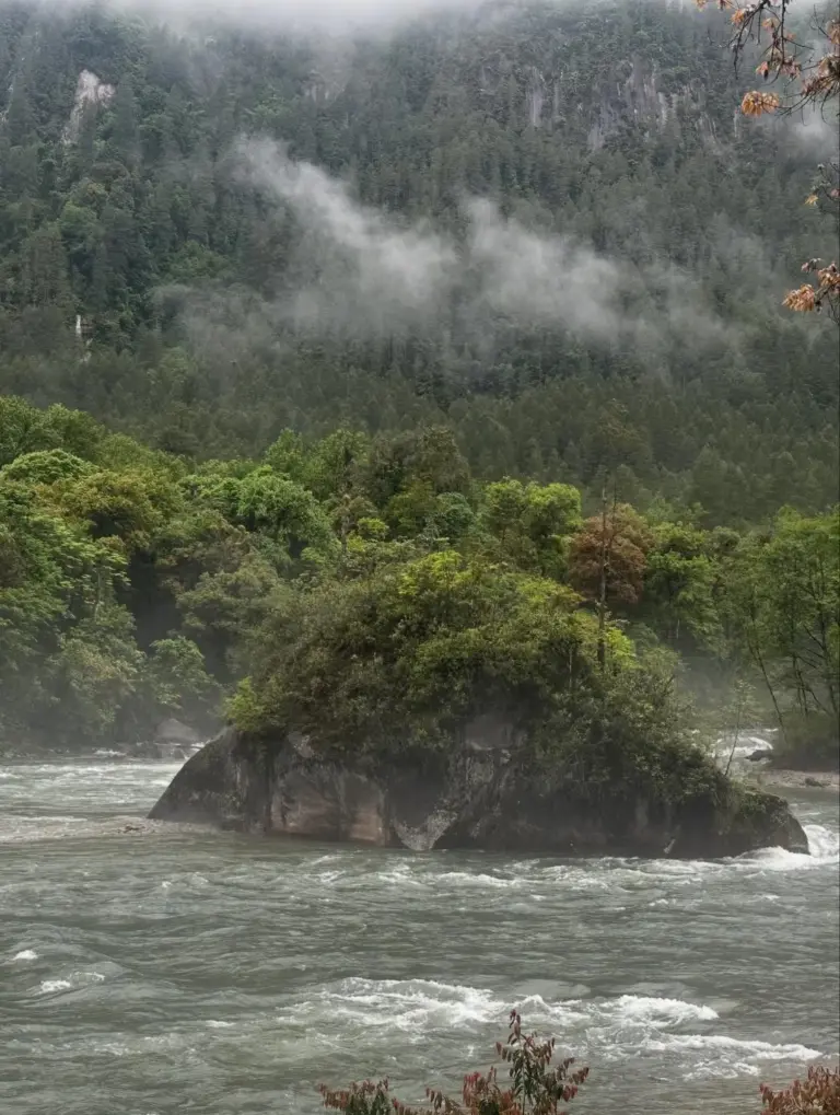River flowing around a forested rock island in Anini, Arunachal Pradesh