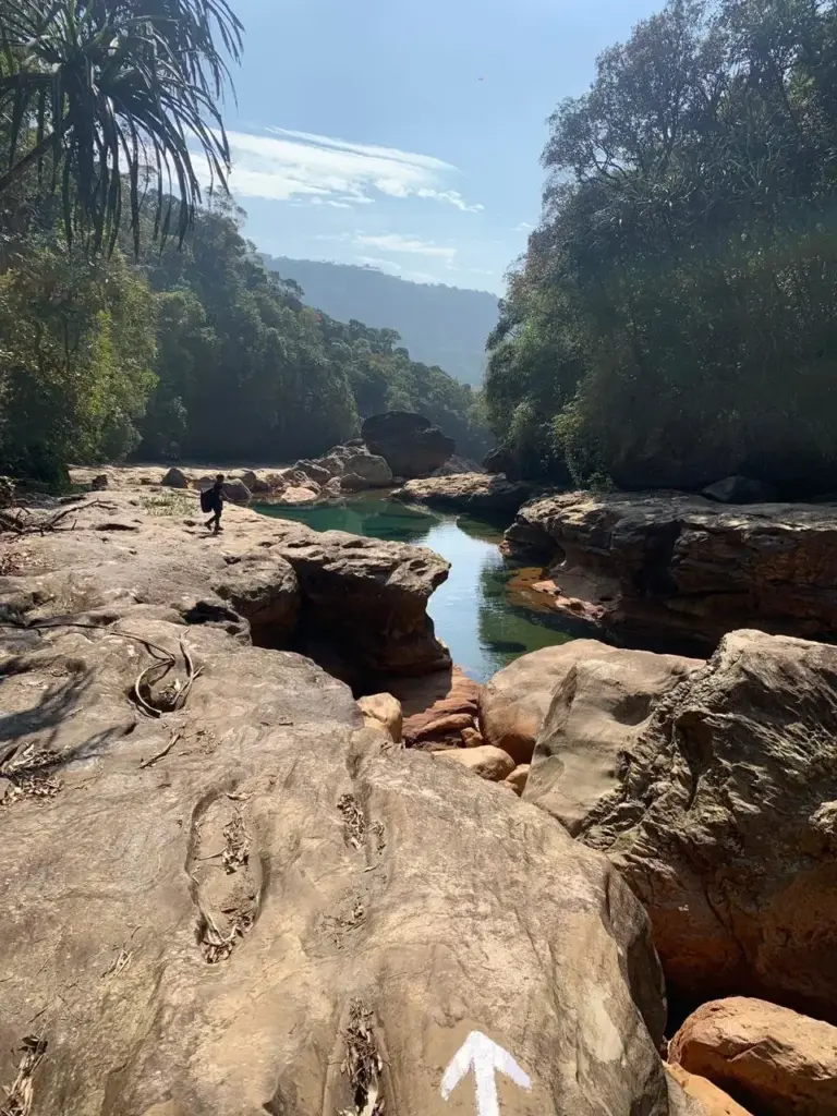 Rocky stream and clear water pool surrounded by greenery at Nohkalikai Falls Meghalaya