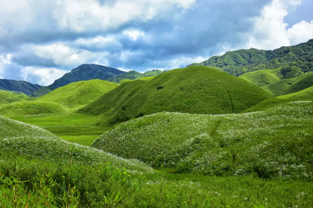 Rolling green hills and blooming wildflowers of Dzukou Valley under a dramatic cloudy sky