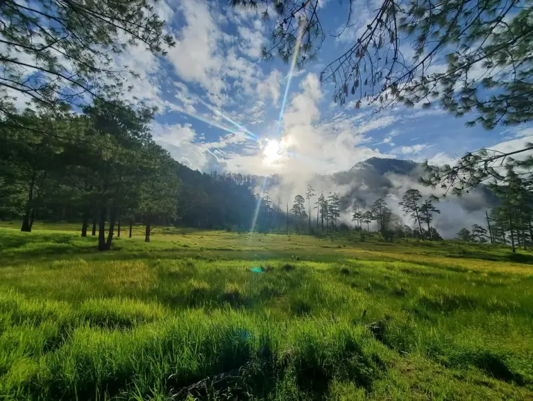 Sunlight over green meadow and misty hills at Dong Valley