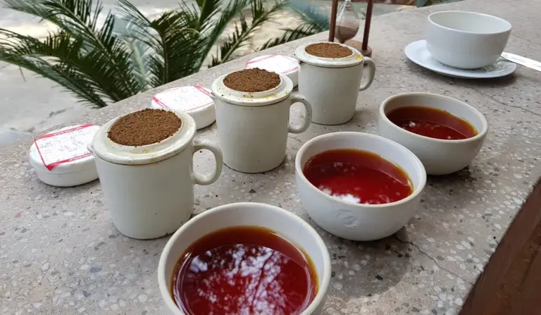 Tea tasting setup with white mugs and brewed tea bowls at Mohanbari Tea Garden Dibrugarh