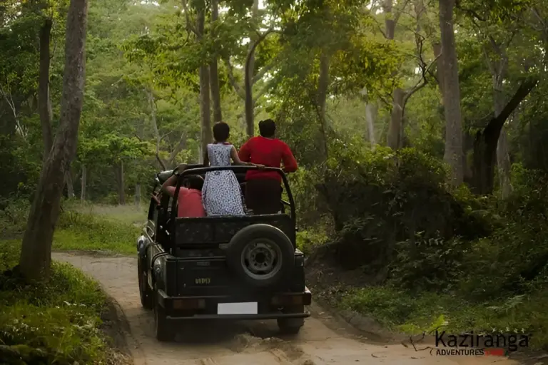 Tourists on a jeep safari in Kaziranga National Park