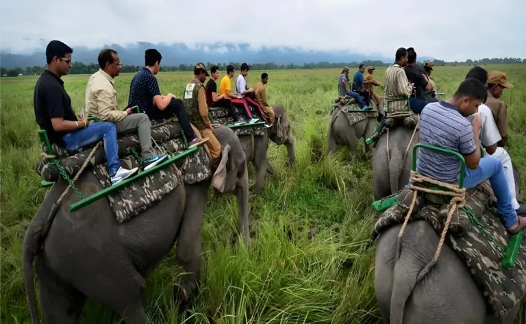Tourists riding elephants on a safari in Kaziranga National Park