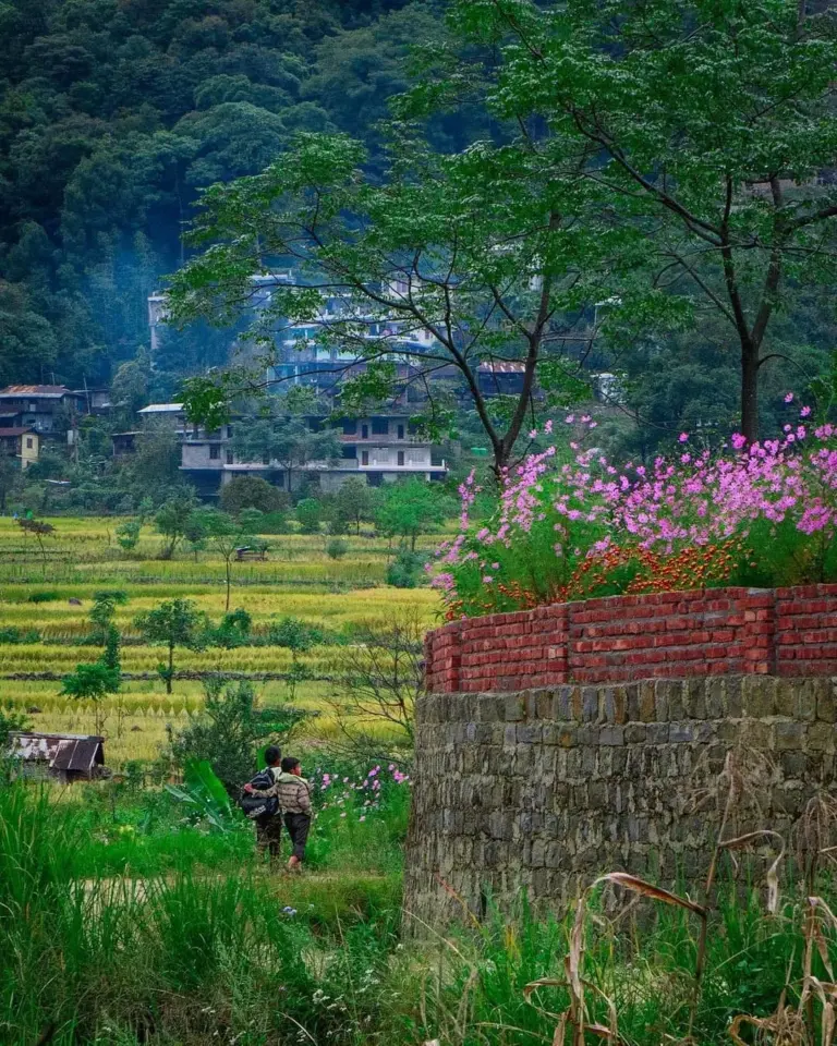 Two children walking along a path with terraced fields, flowers, and village houses in Jakhama, Nagaland