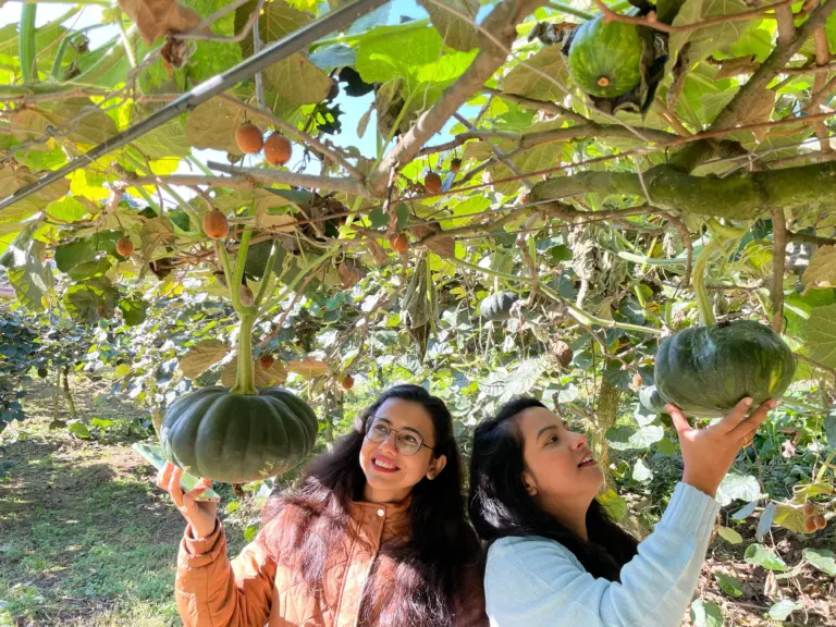 Two women admiring hanging pumpkins in Sangti Valley, Arunachal Pradesh