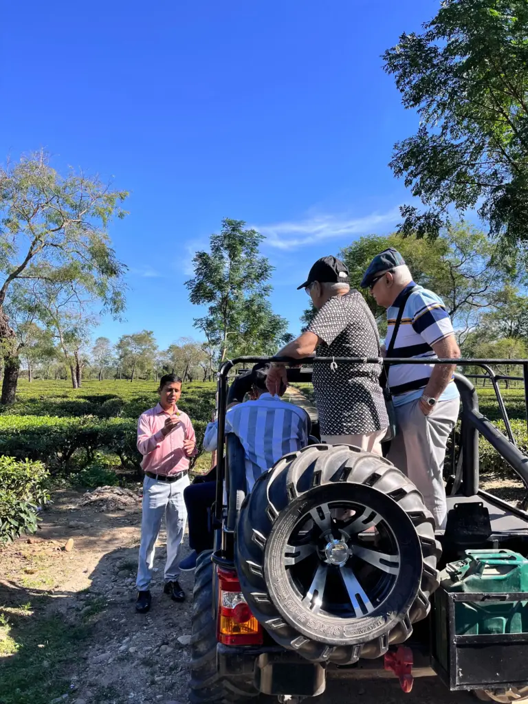Visitors exploring tea plantations on a jeep tour at Mohanbari Tea Garden Dibrugarh Assam