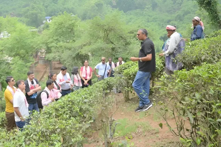 Visitors learning about tea plucking in a tea garden in Guwahati Assam
