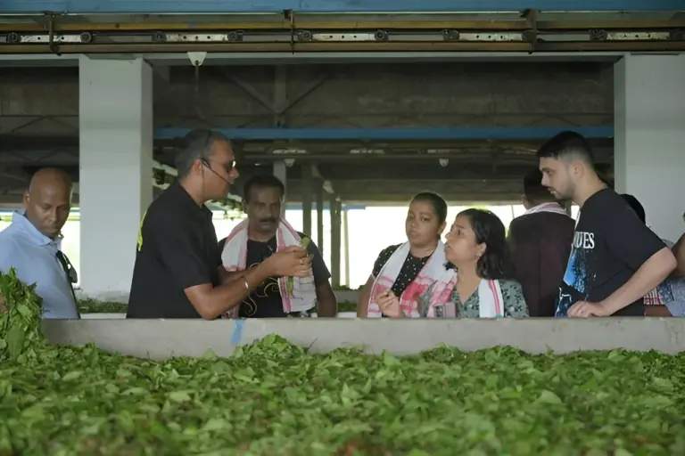Visitors learning about tea processing at a tea factory in Guwahati Assam