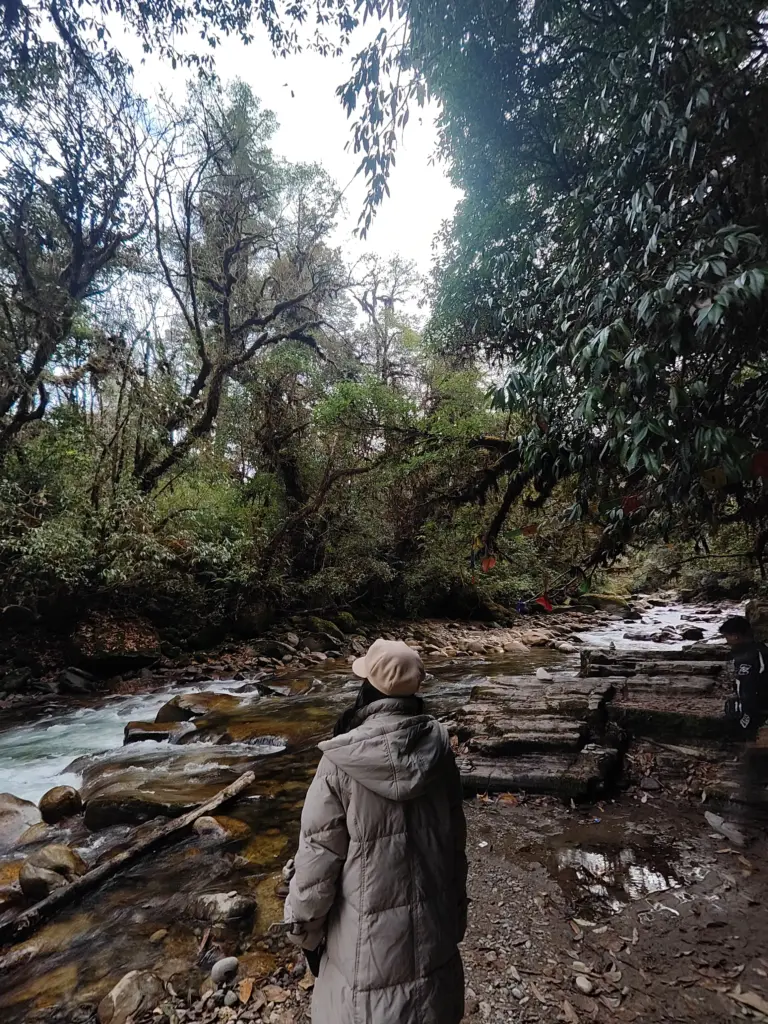 Woman standing by a forest stream in Mechuka, Arunachal Pradesh