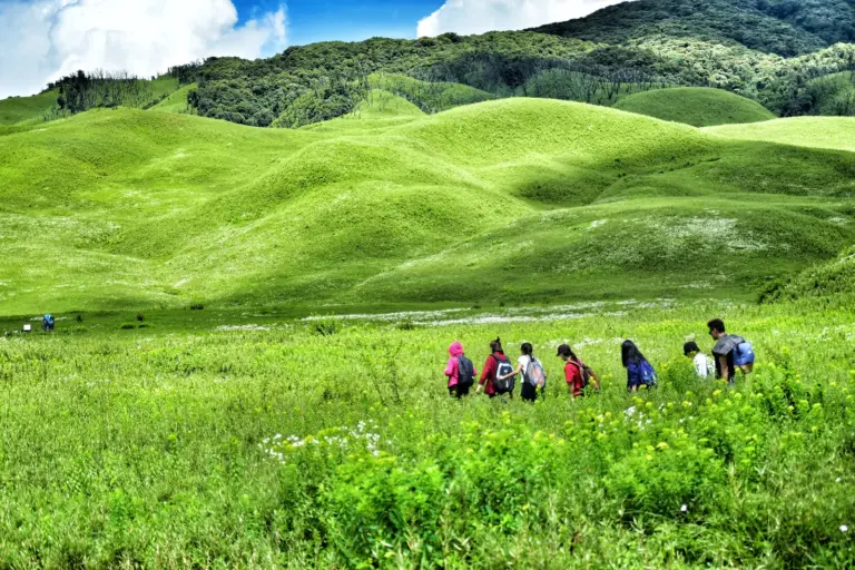 A group of trekkers walking through the lush green meadows of Dzukou Valley