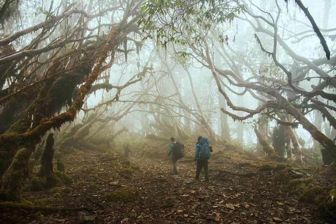 Bailey Trail trek through Arunachal Pradesh