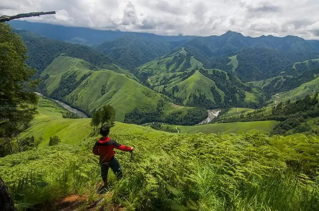 Emuli grassland in Anini, Arunachal Pradesh