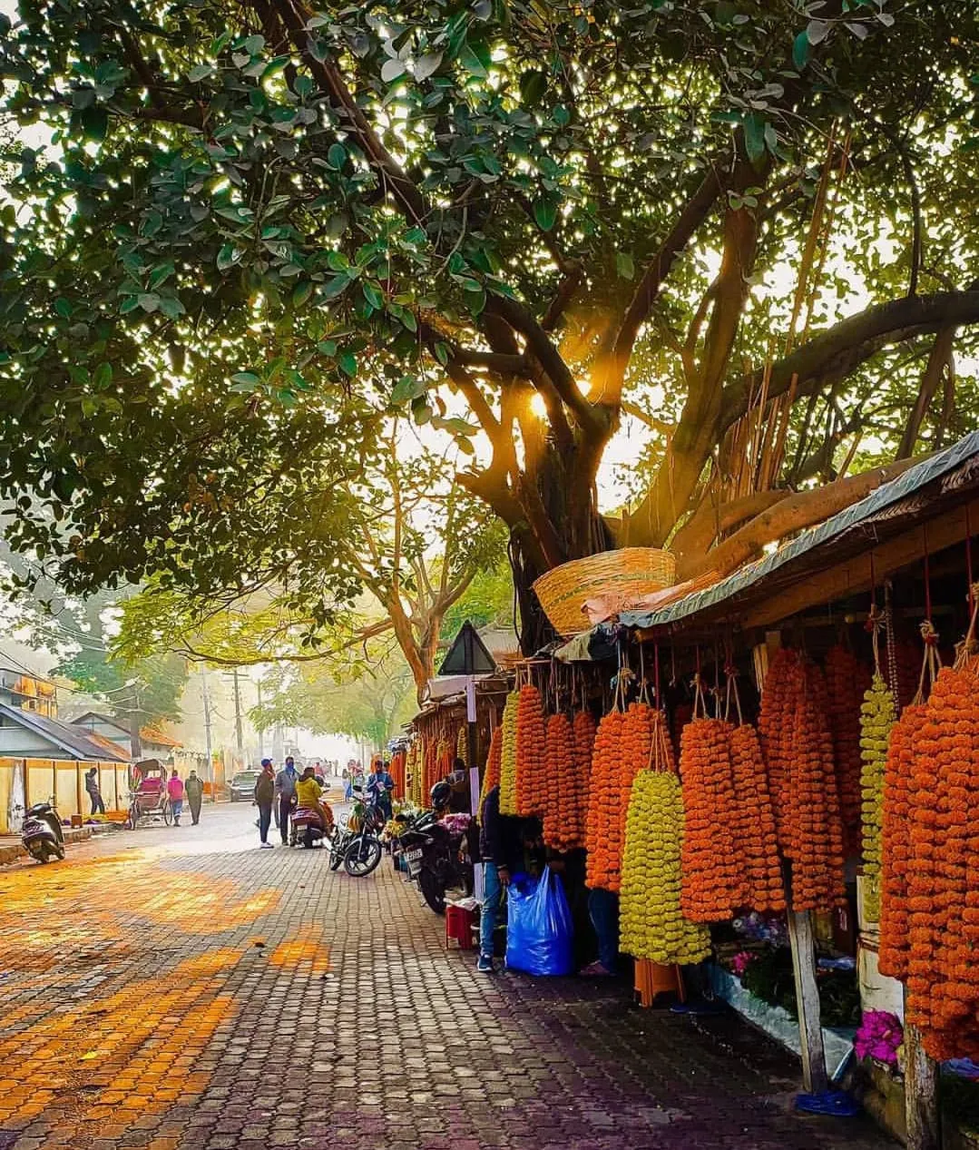 Flower market at Fancy Bazaar, Guwahati