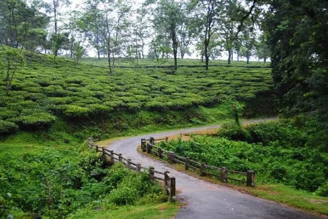 Mawlyngot village in the East Khasi Hills, Meghalaya