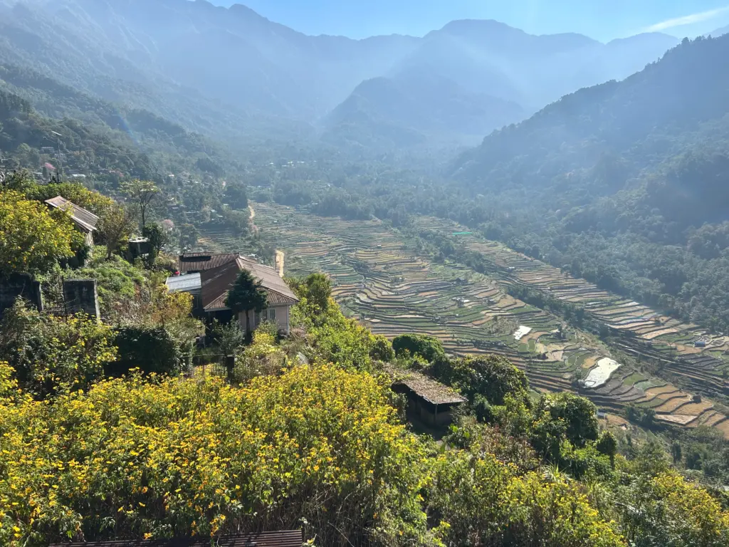 Scenic mountain valley with terraced rice fields, hillside homes, and vibrant yellow flowers in Khonoma, Asia's Cleanest Village.
