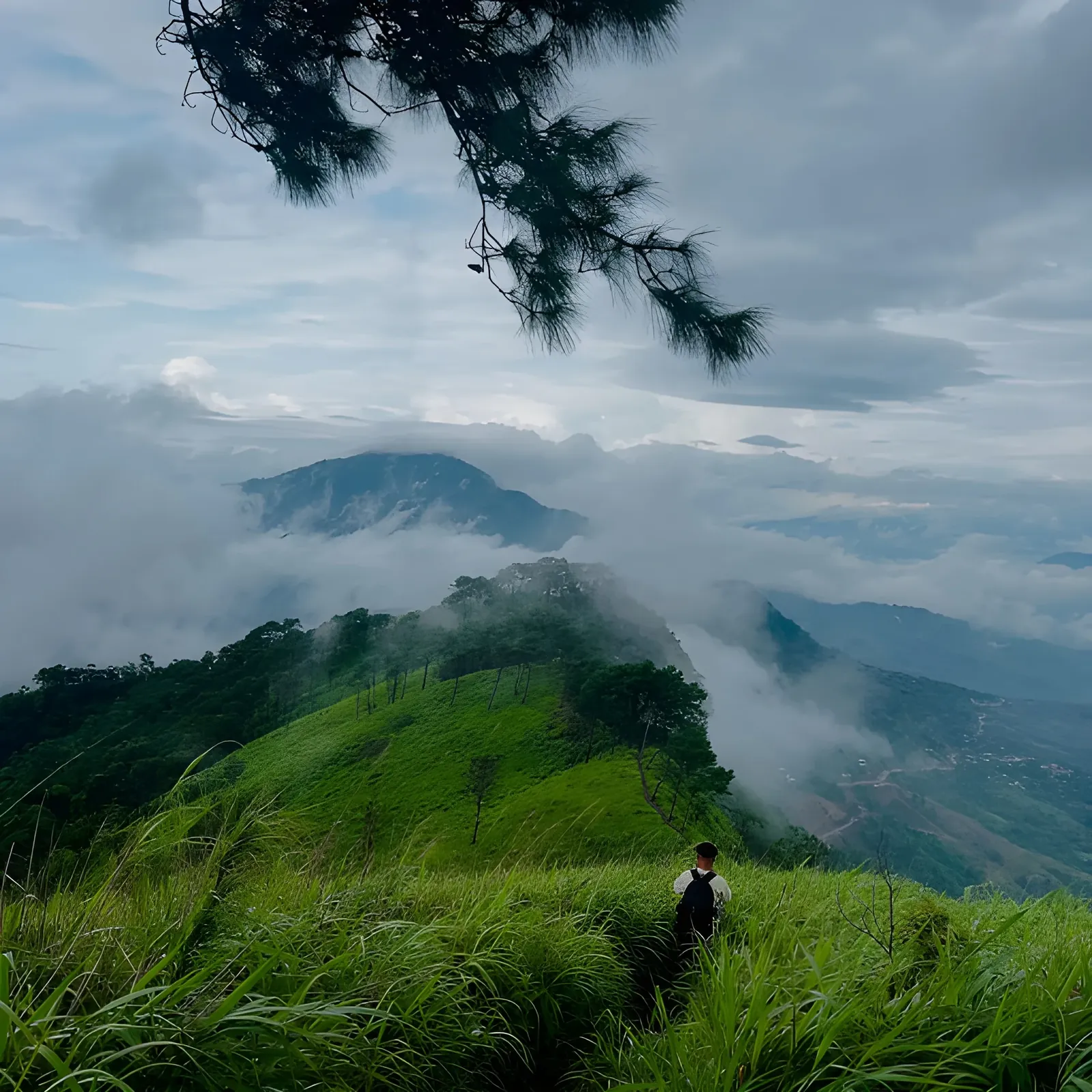 Person standing on the lush green ridge of Tumjang Peak, Dima Hasao, Assam