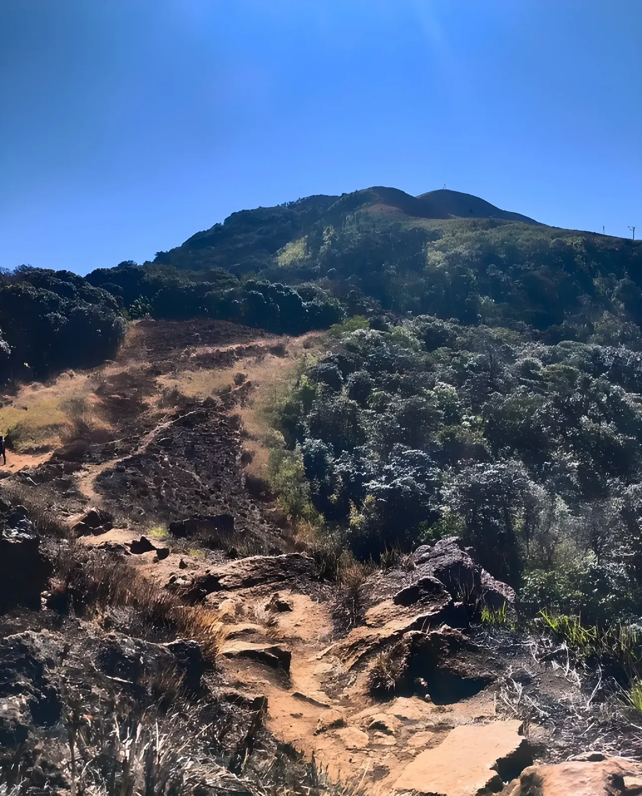 Rocky trekking trail leading up to Shirui Peak, with lush green hills, rugged terrain, and a clear blue sky in Manipur