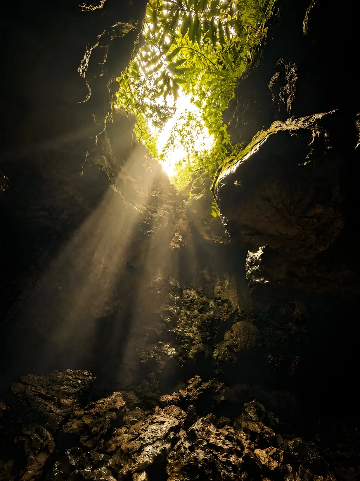 Sunlight streaming into Mawsmai Cave, Meghalaya