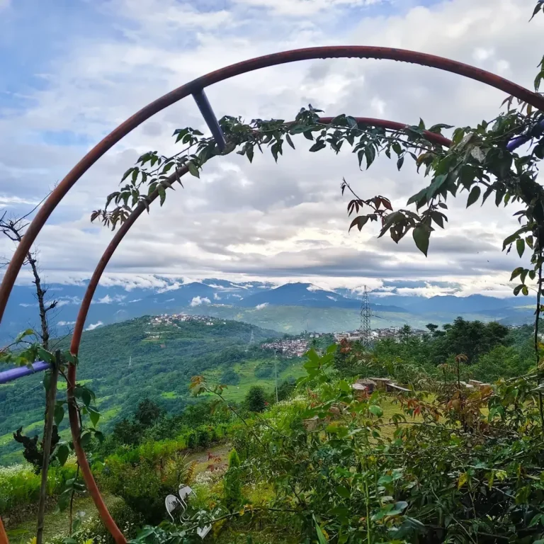 Mountain view through a garden arch at Everhill Homestay