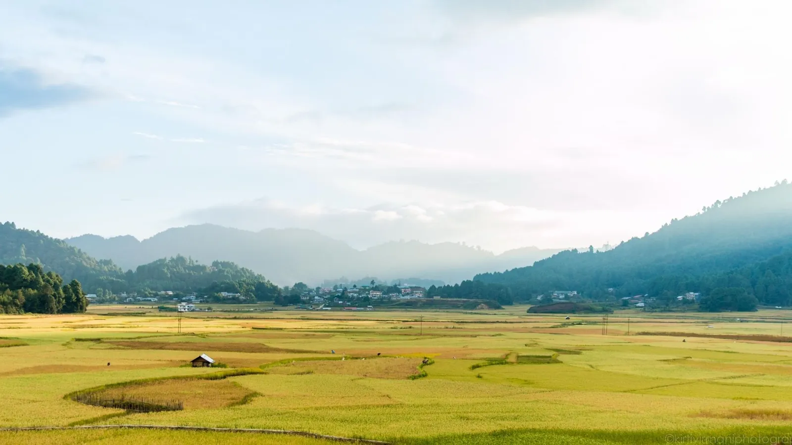 Terraced rice fields in Ziro Valley, Arunachal Pradesh